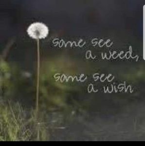 Meet your Posher, Ruth